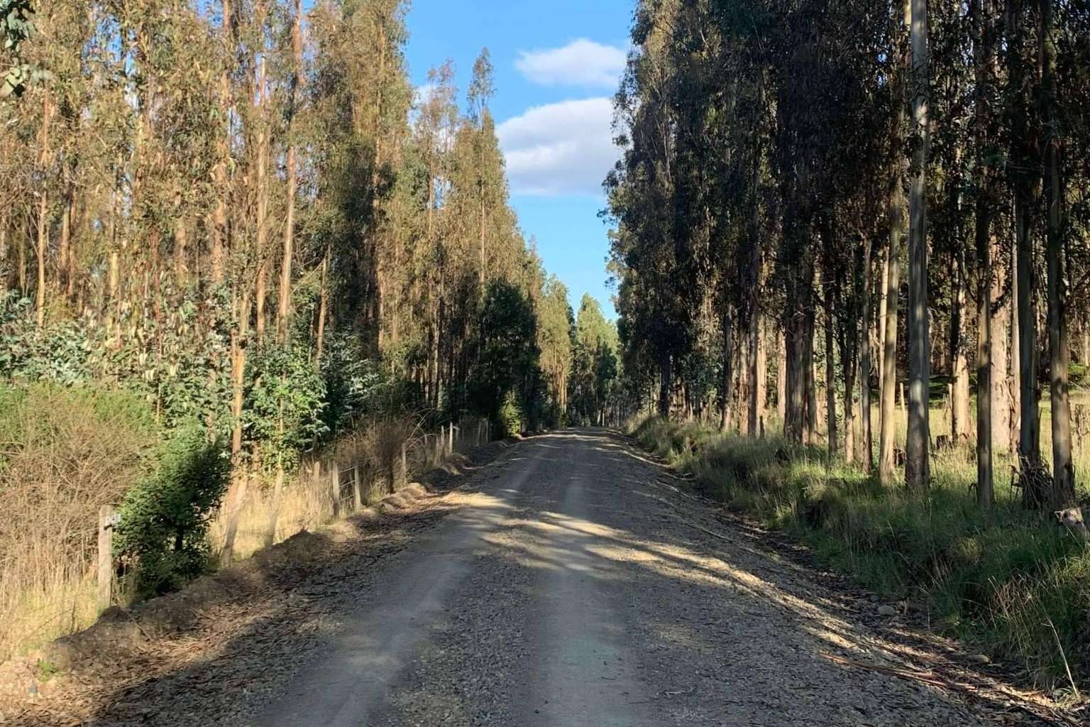 Ingenieros Corretajes, inversión inmobiliaria en Chile