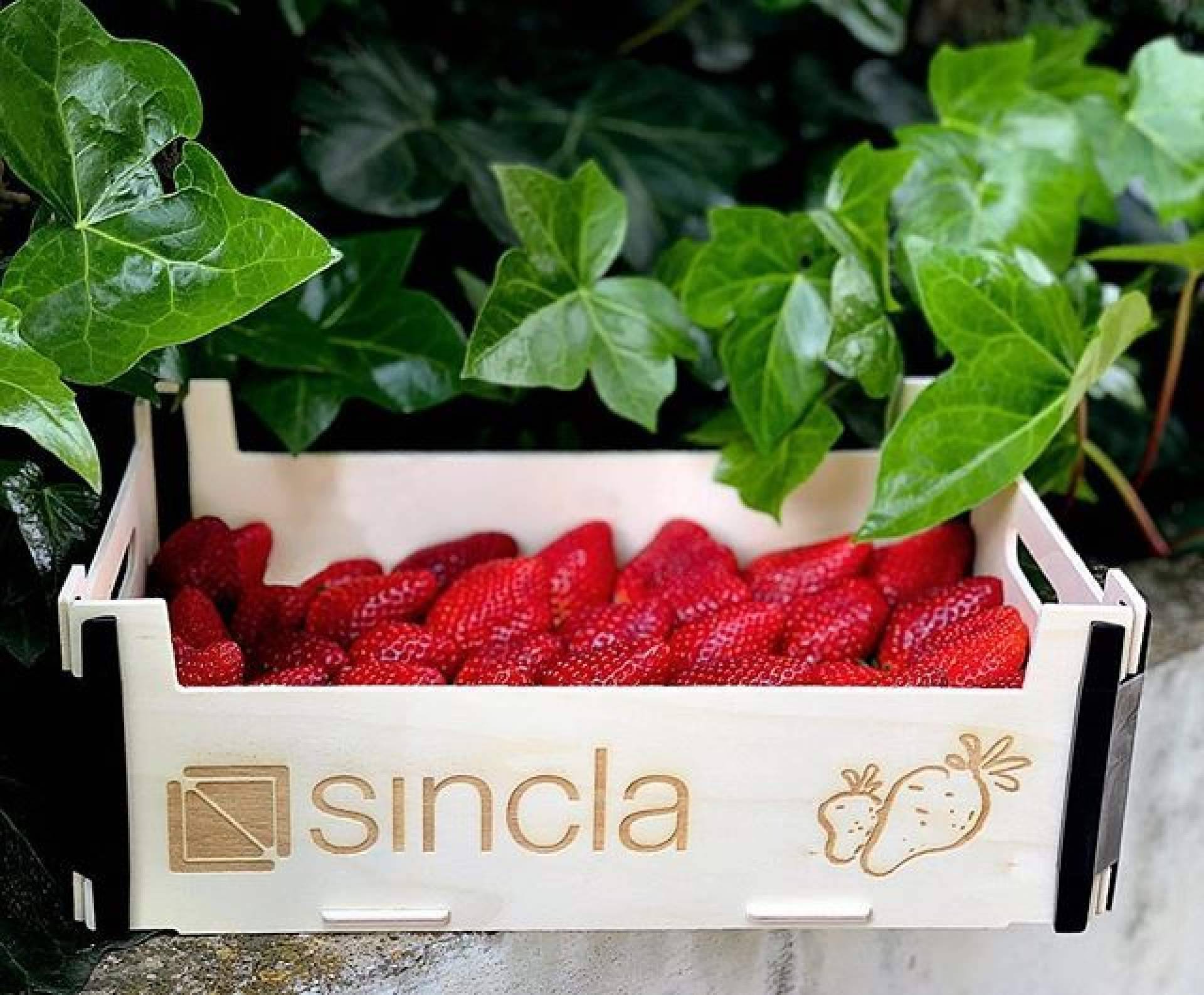 Sincla destaca en diseño y calidad con sus cajas de madera para fruta y verdura