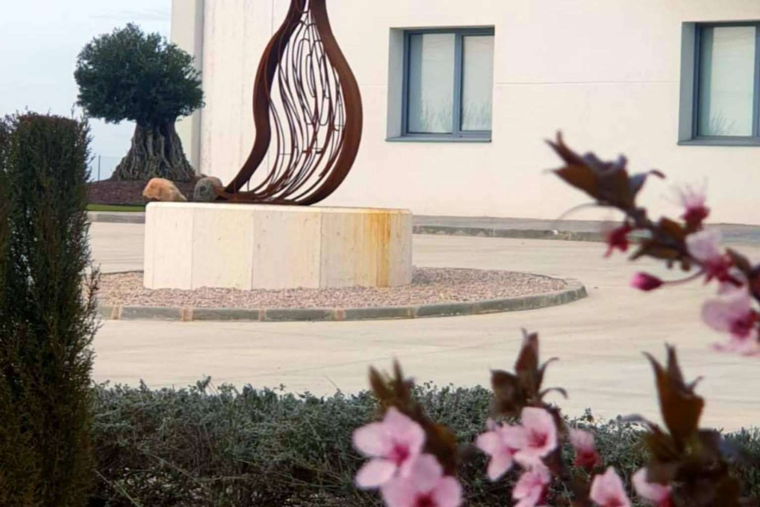 Control continúo del viñedo para garantizar la calidad de los vinos de Pandora