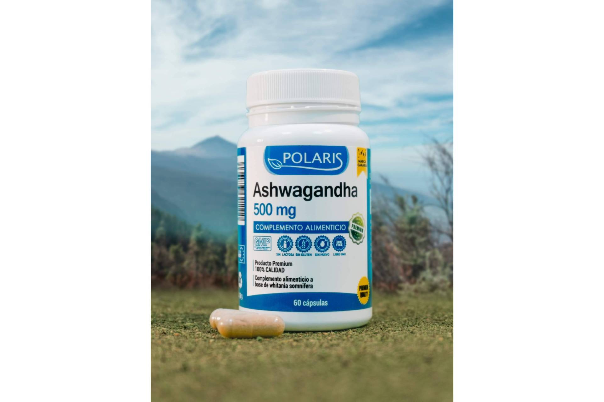 La ashwagandha y sus múltiples beneficios para la salud