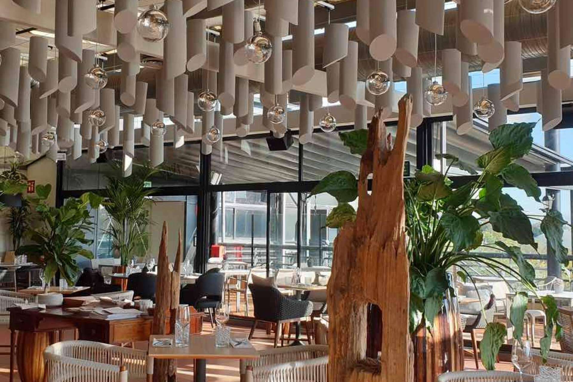 Eliminar ruido en restaurantes permite atraer más clientes