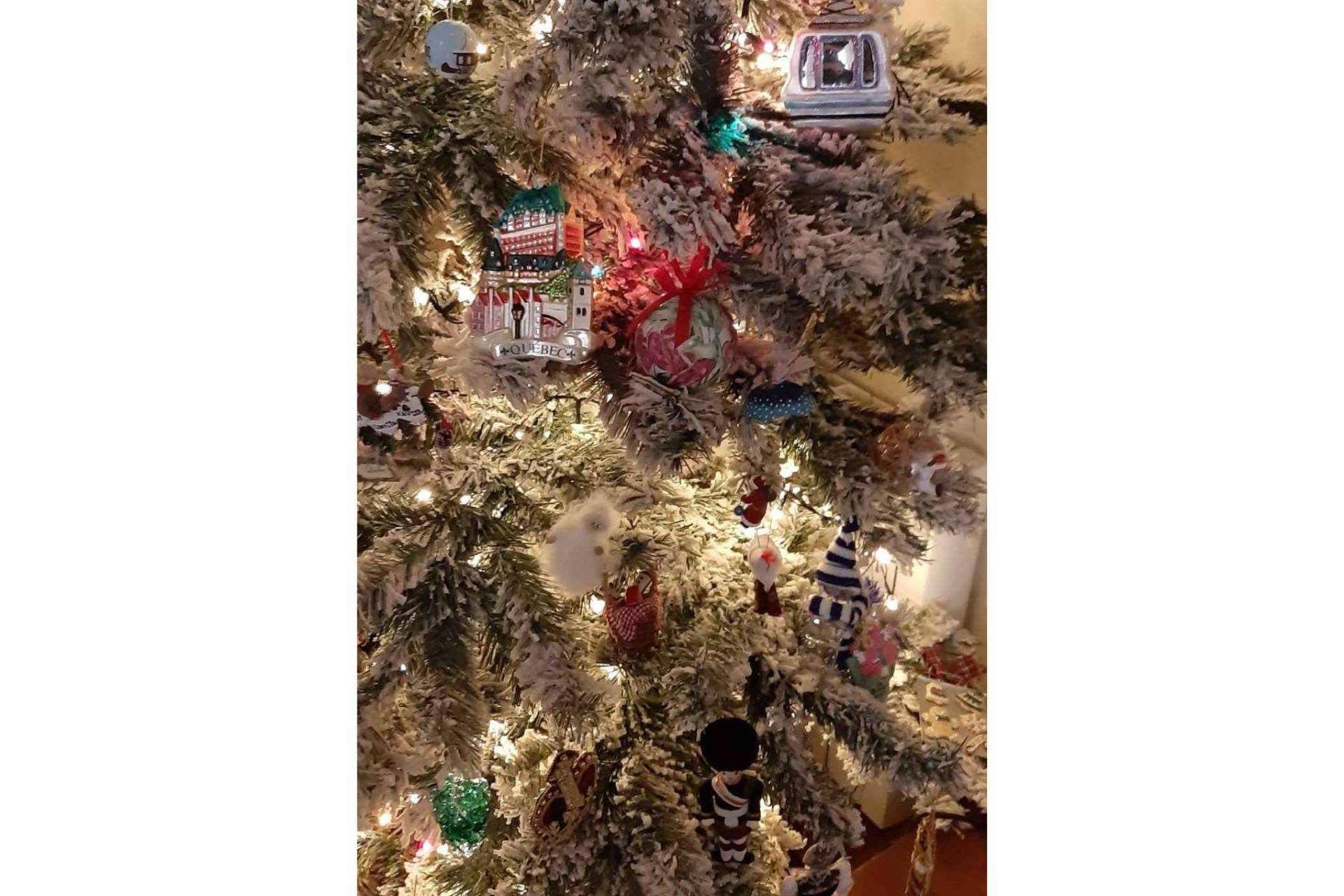 Navidad y cuentos, xmastreefriends quiere reunir a niños y niñas amigos del árbol navideño
