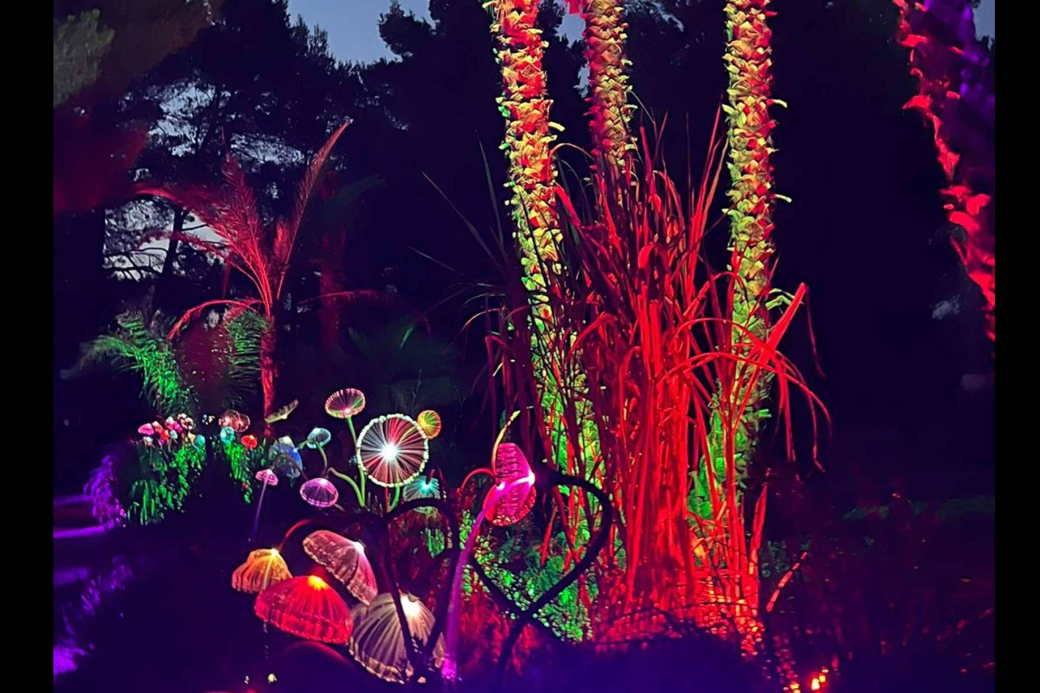 Bibo Park, un espacio interactivo que combina naturaleza y biotecnología en Ibiza