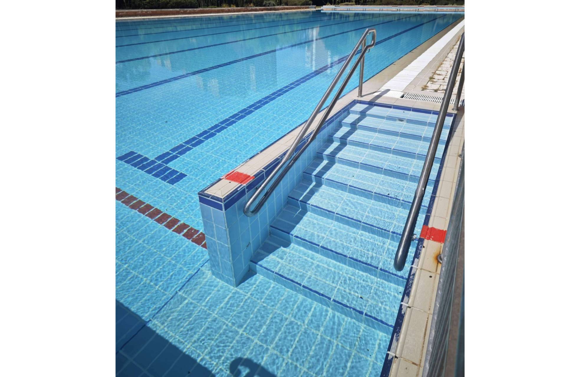 Nueva era en el cuidado de piscinas; POOL TIGER EUROPE y su método de purificación avanzado