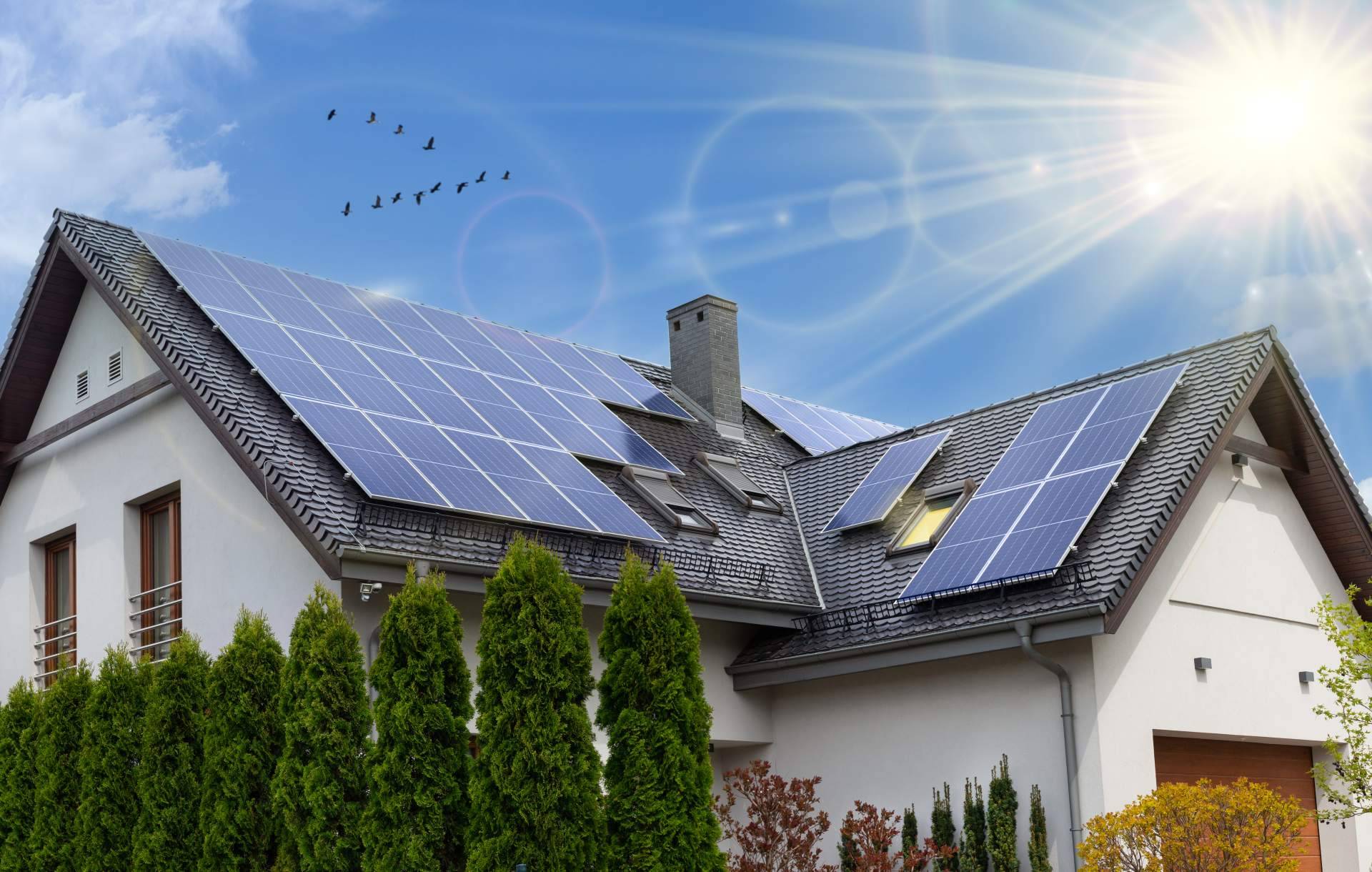 La apuesta fotovoltaica de Celectricos refuerza su liderazgo en material eléctrico sostenible en España