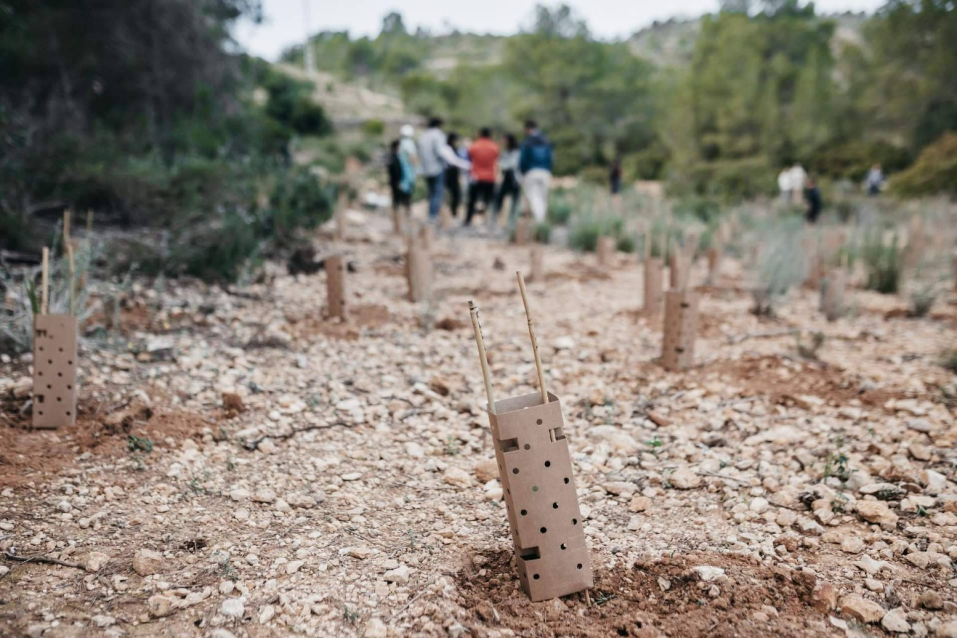 Reportes ESG e impacto forestal; cómo convertir la restauración ecológica en dato auditado